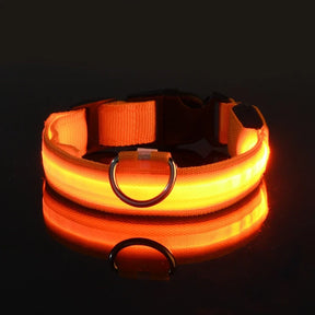 Coleira Led Noturna  Cães e Gatos
