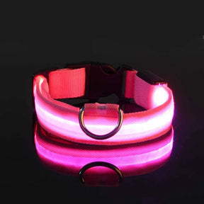 Coleira Led Noturna  Cães e Gatos