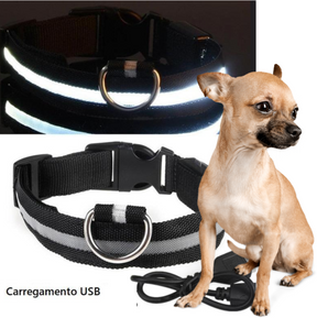 Coleira Led Noturna  Cães e Gatos