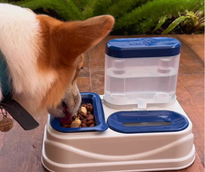 Comedouro e Bebedouro PELOS CURTOS E LONGOS SOLUTION MMA PET Para cães e Gatos
