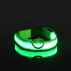 Coleira led acessa no escuro verde 