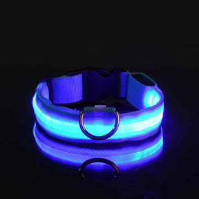 Coleira led acessa no escuro cor azul