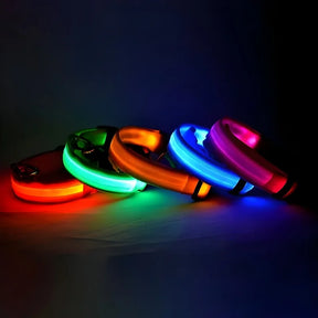 coleira LED laranja acesa no escuro, com outras coleiras luminosas coloridas sobre superfície refletiva.

