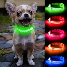 Coleira Led Noturna  Cães e Gatos